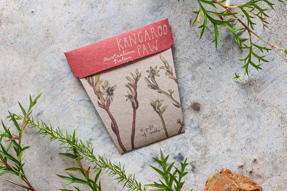 Kangaroo Paw Gift of Seeds (Australia Only)