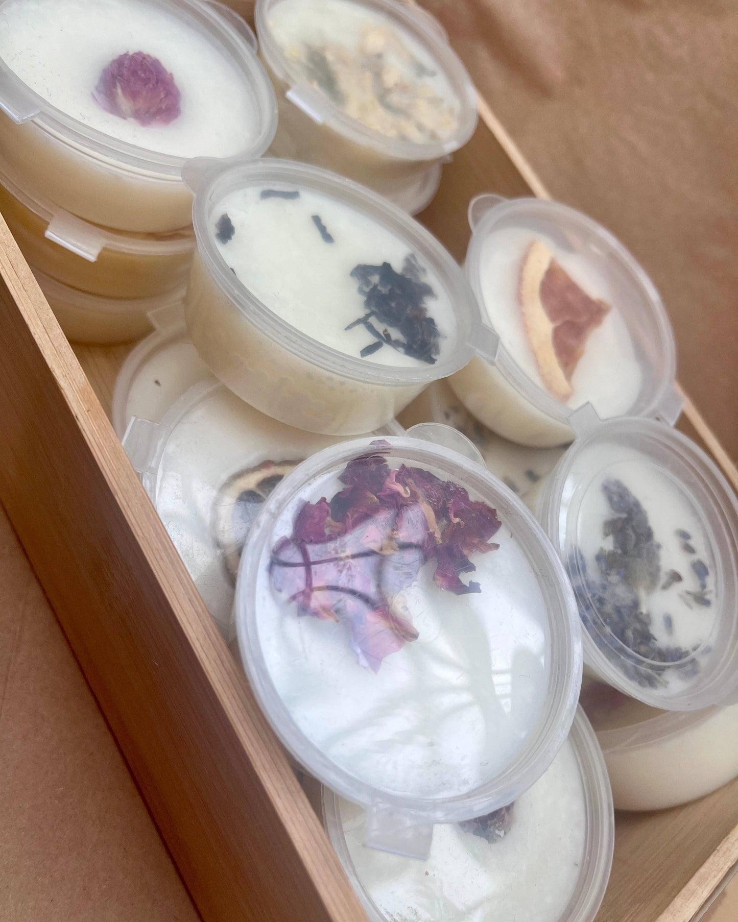 Botanical Shot Pot Melts: Lavender