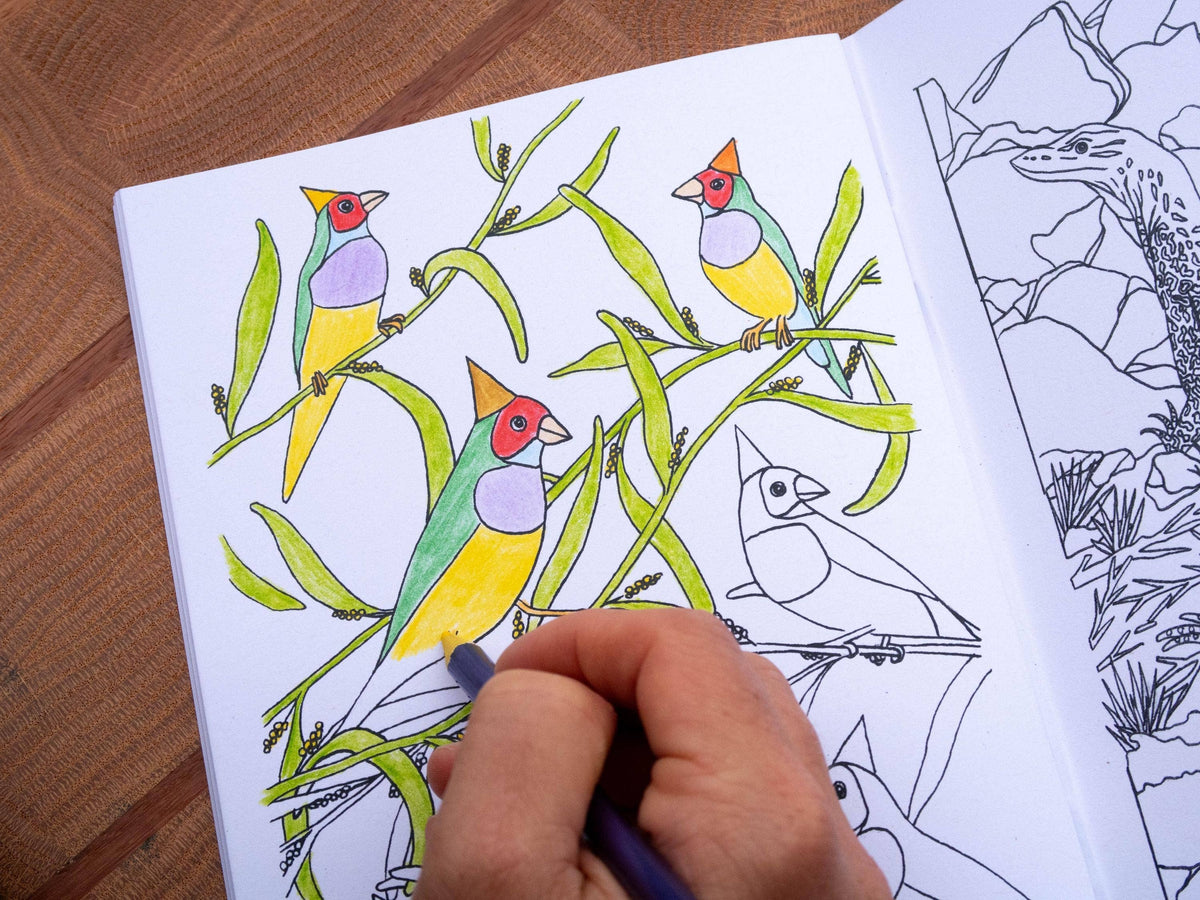 Aussie Activity Book A5 Australia Colouring Puzzle Book