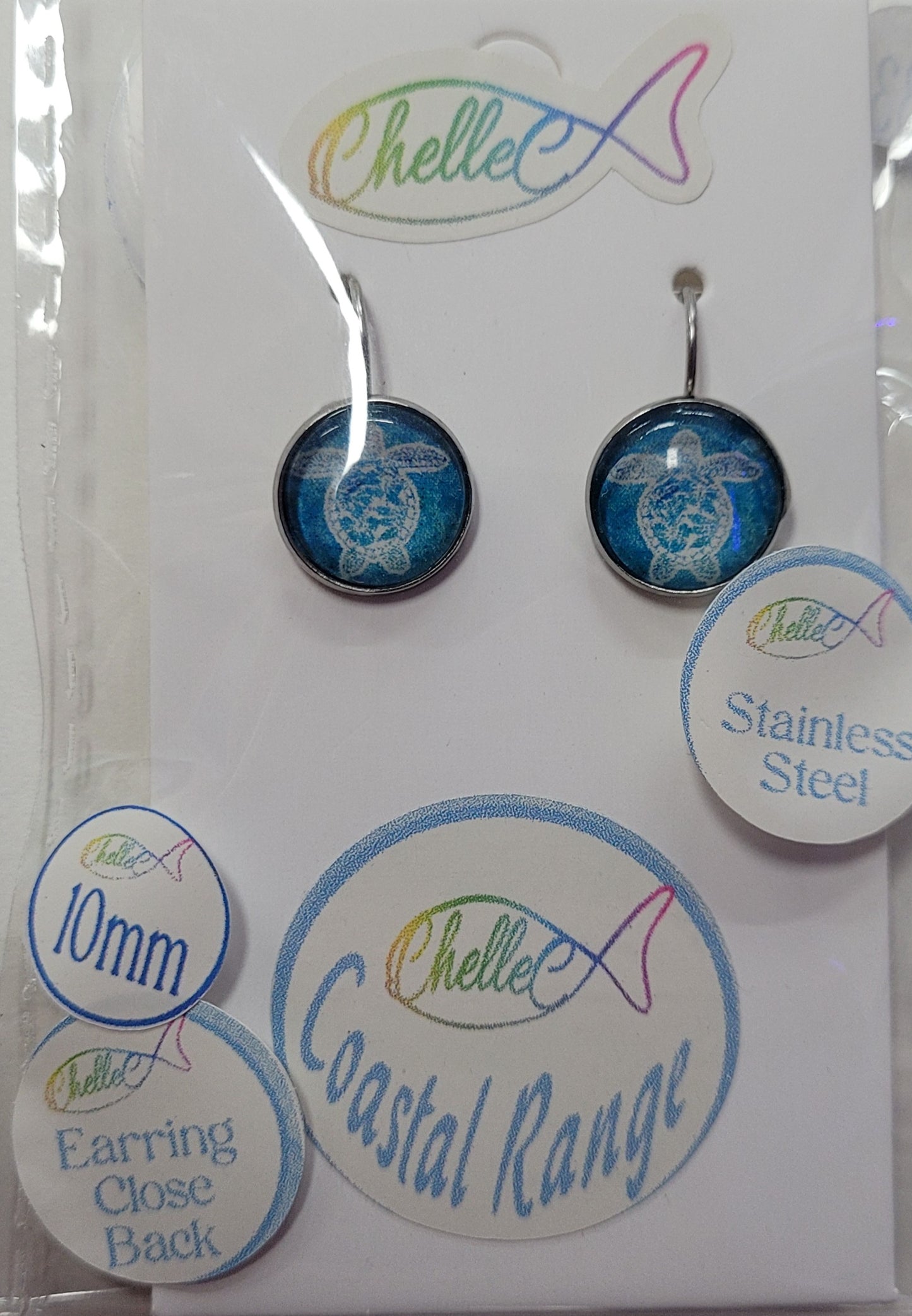 Dangle Earrings - Stud and Hook