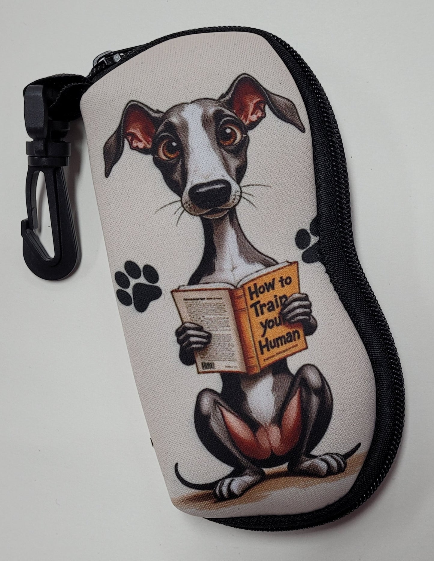 Glasses Cases / Covers