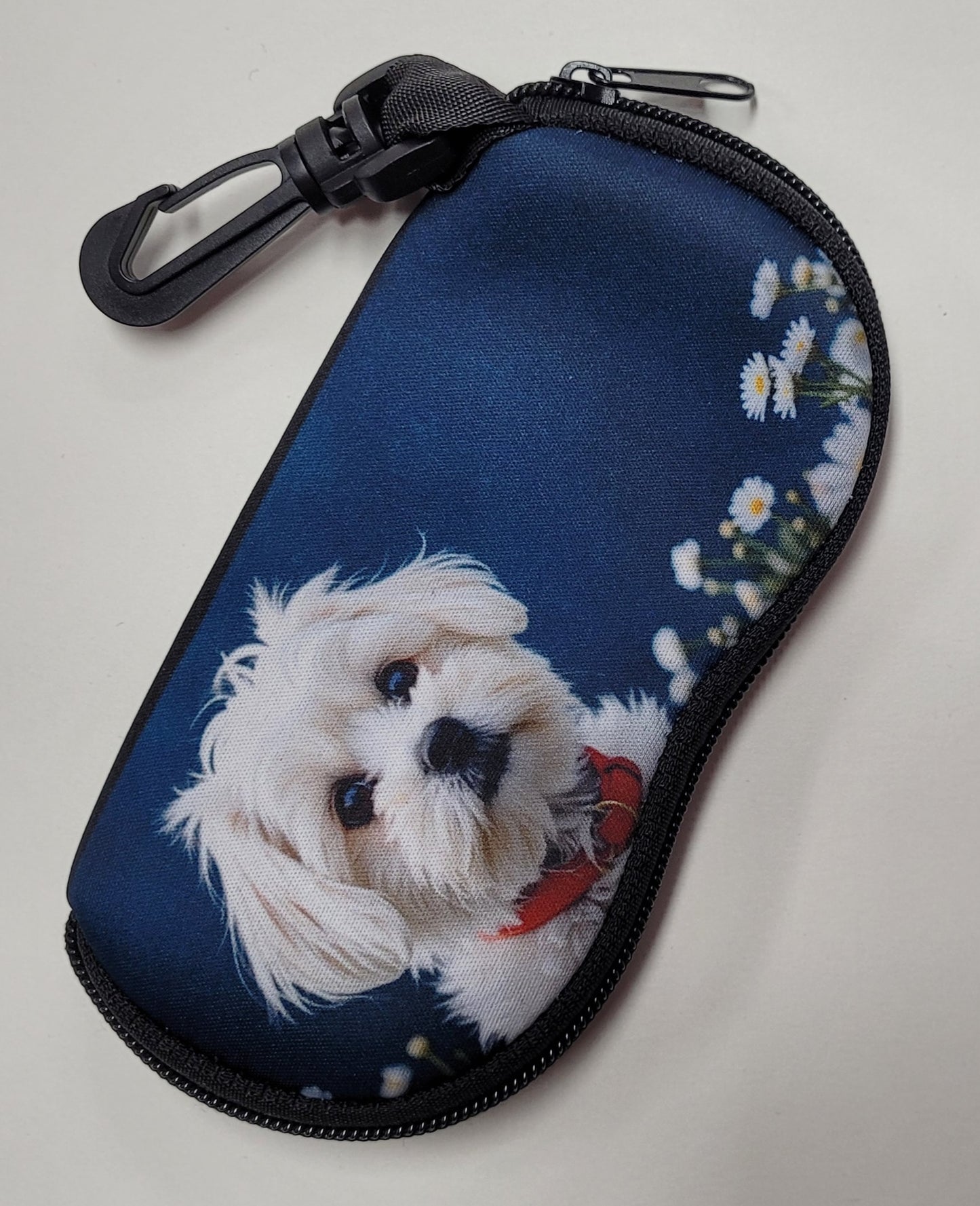 Glasses Cases / Covers