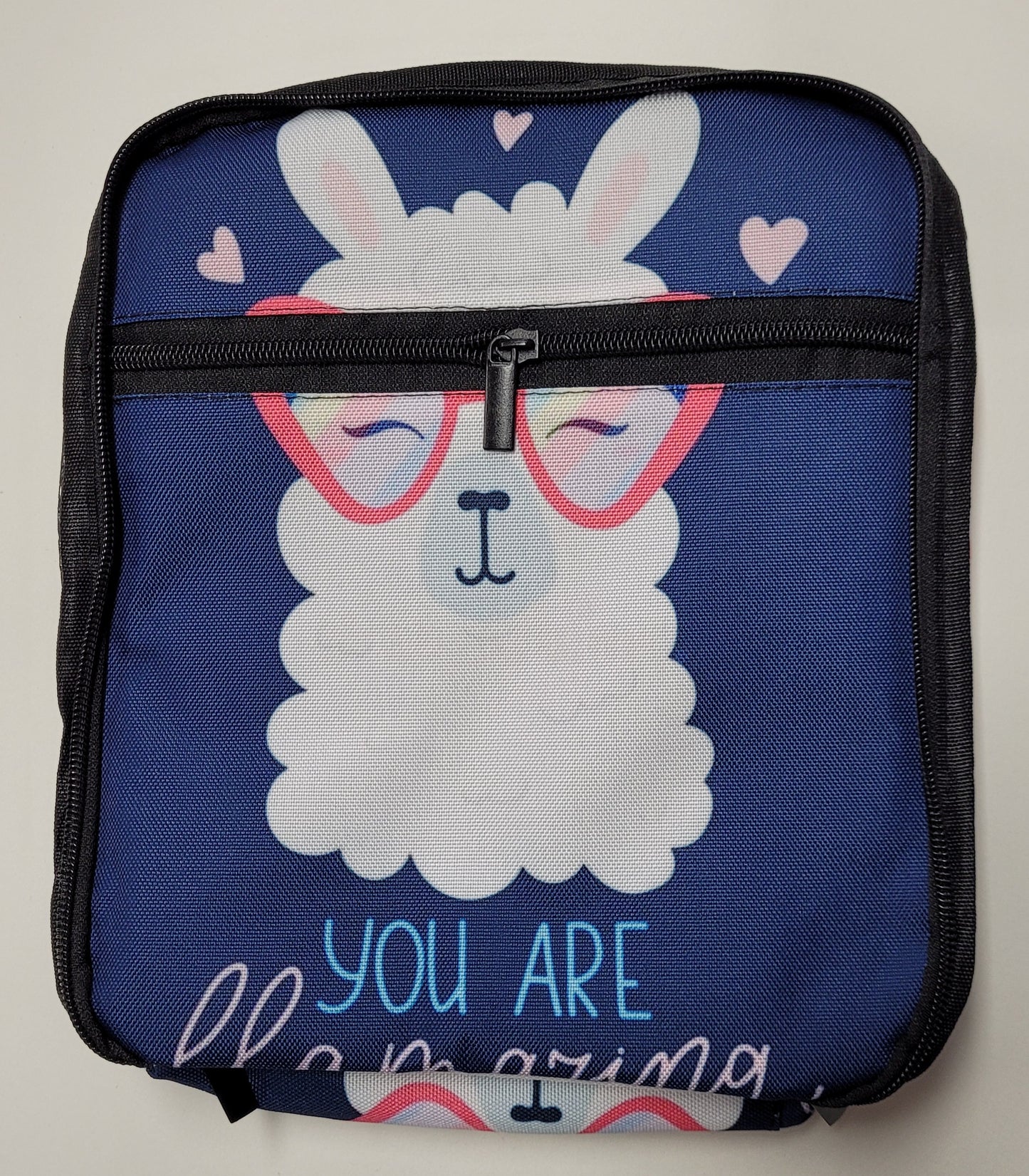 Lunch Box Cooler