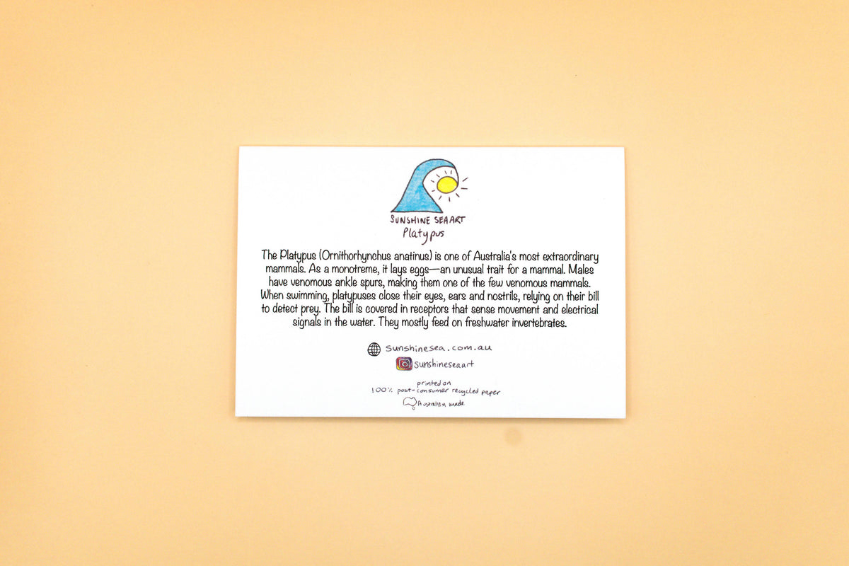 Platypus Greeting Card | Iconic Aussie Animal Birthday Card