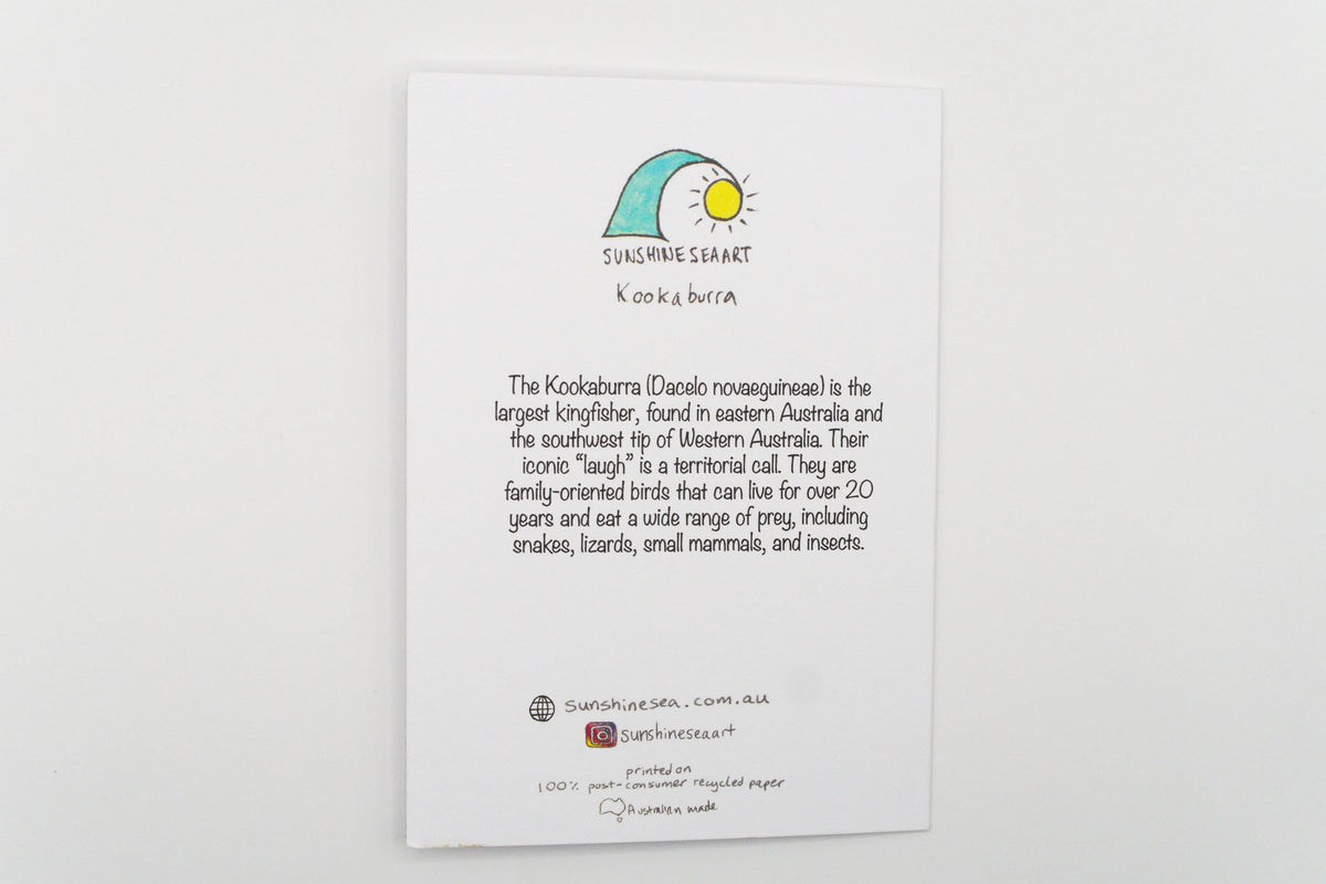 Kookaburra Greeting Card Australian Bird Birthday Eco Card
