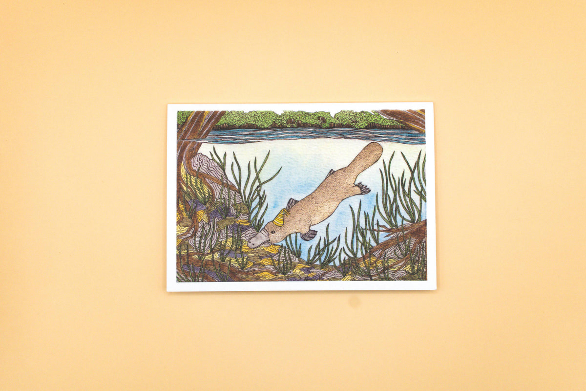 Platypus Greeting Card | Iconic Aussie Animal Birthday Card