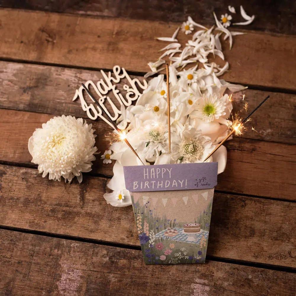 Happy Birthday Picnic Gift of Seeds (Australia Only)