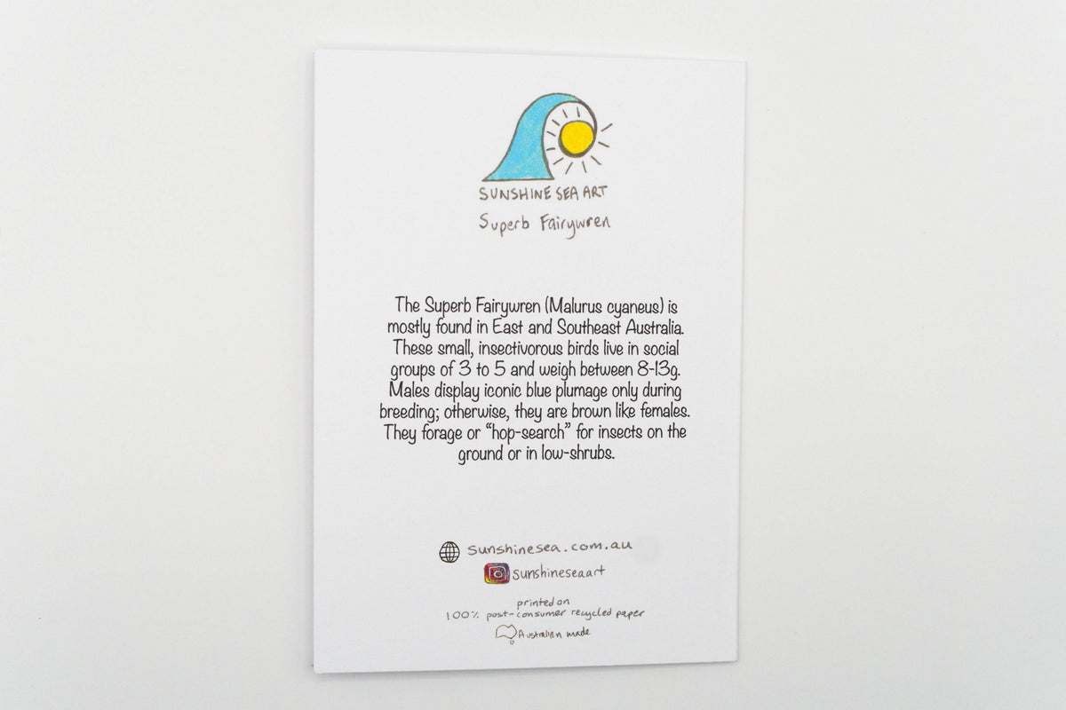 Superb Fairywren Greeting Card Australian Bird Birthday Card