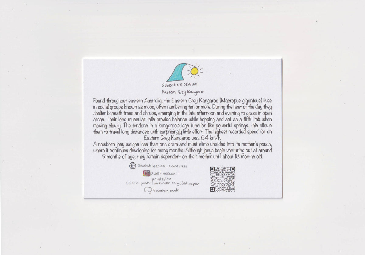 Surfing Kangaroo Greeting Card | Australian Birthday Card