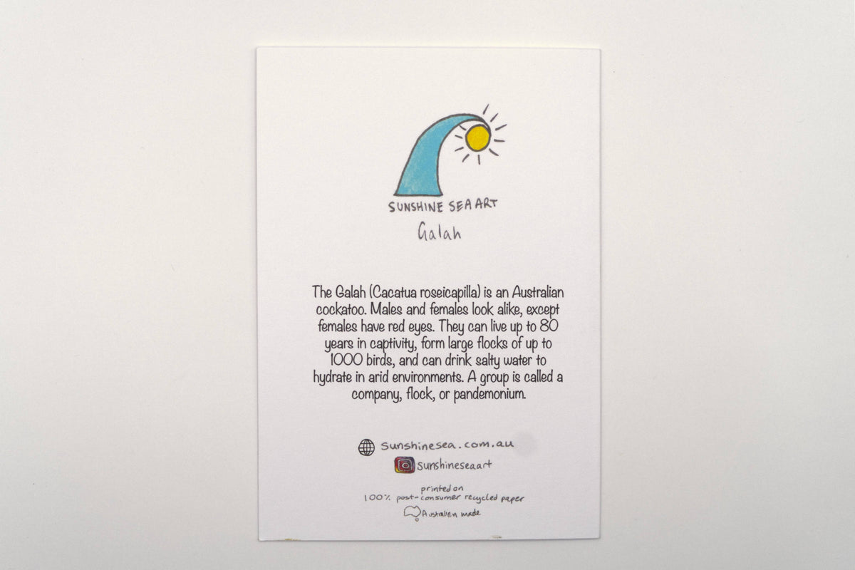 Galah Greeting Card Australian Bird Birthday Recycled Card