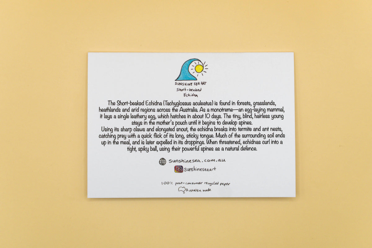 Short-beaked Echidna Greeting Card | Birthday Card