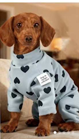 Small Dog Coats