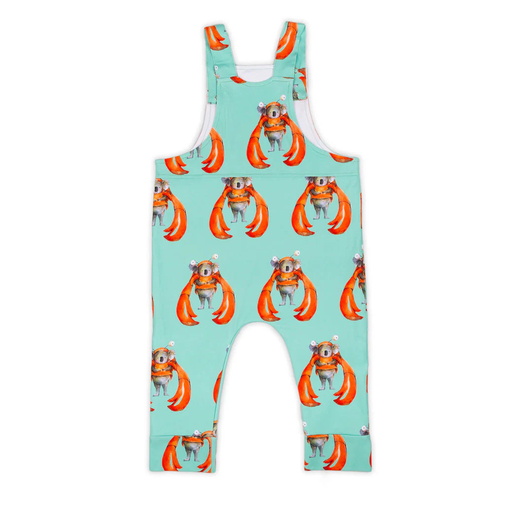 Baby Overalls - size 1