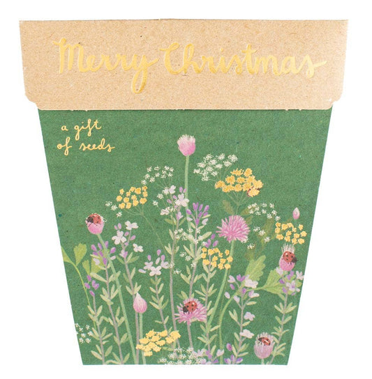 Christmas Herbs Gift of Seeds (Australia Only)