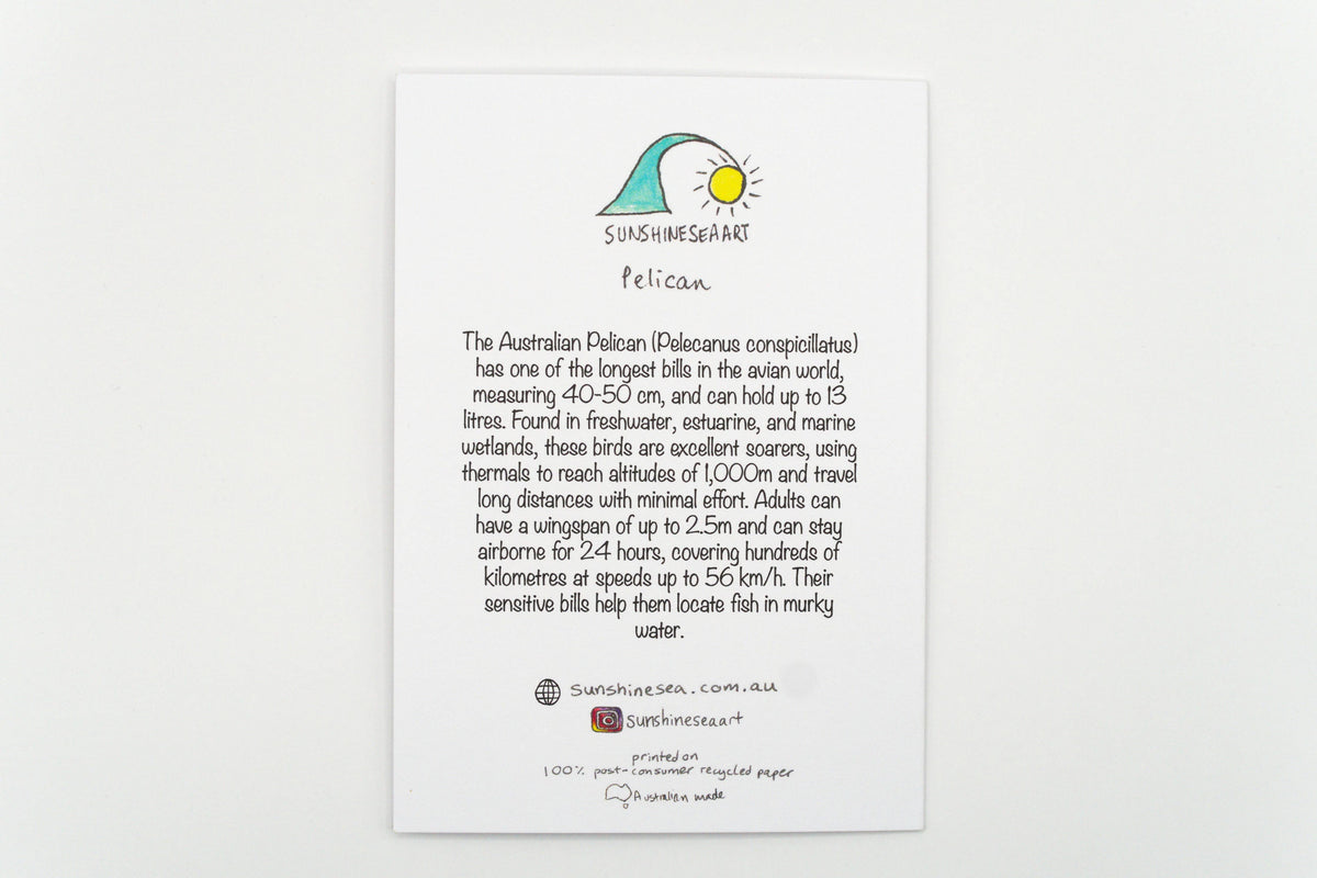 Pelican Greeting Card Australia Bird Birthday Recycled Card