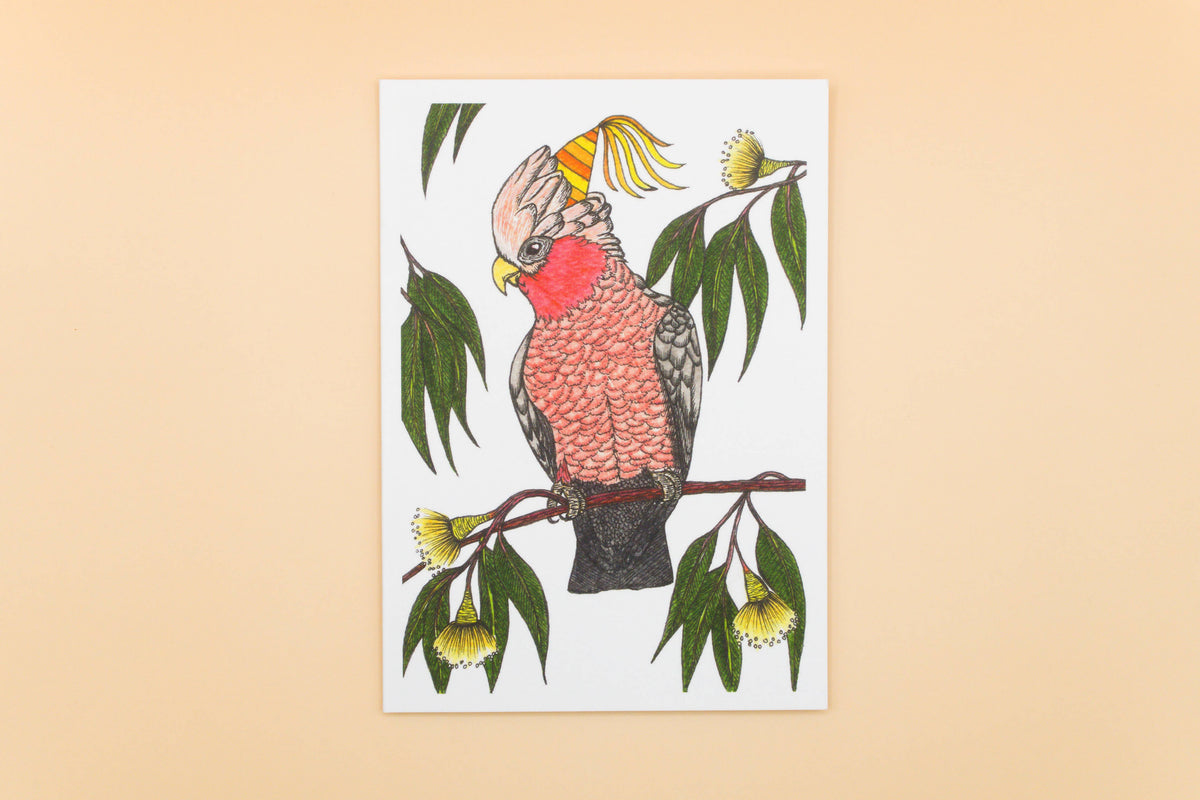 Galah Greeting Card Australian Bird Birthday Recycled Card