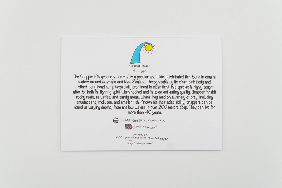 Snapper Fish Greeting Card Australian Birthday Ocean Card