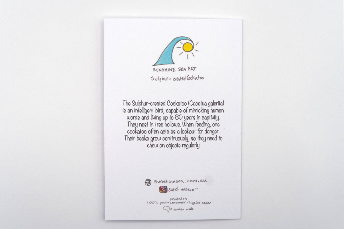 Cockatoo Greeting Card | Australian Bird Birthday Card