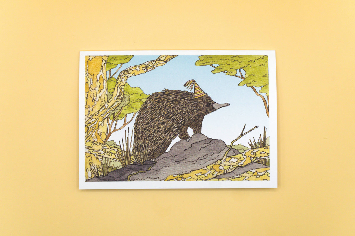 Short-beaked Echidna Greeting Card | Birthday Card