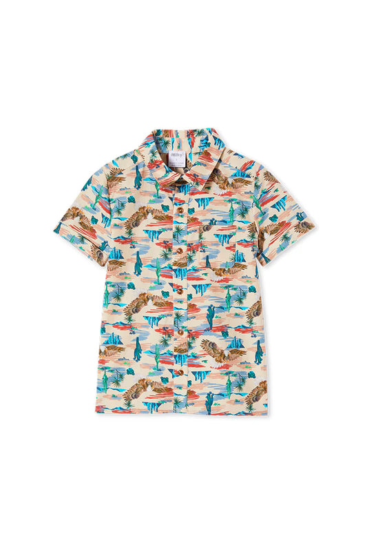 Boys Shirts - Size 3