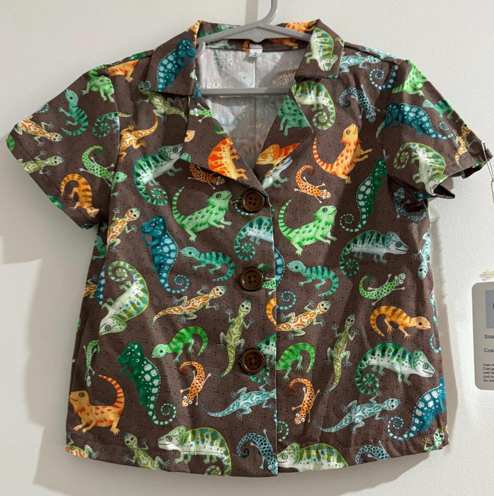 Boys Shirts - Size 3