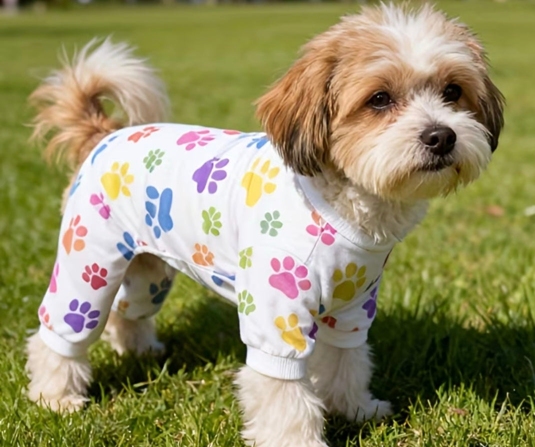 Small Dog Coats