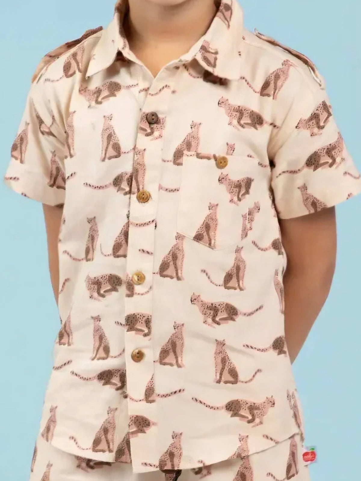 Boys Shirts - Size 3