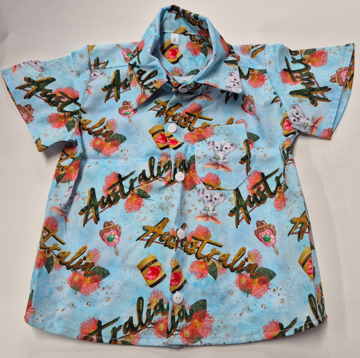 Boys Shirts - Size 2