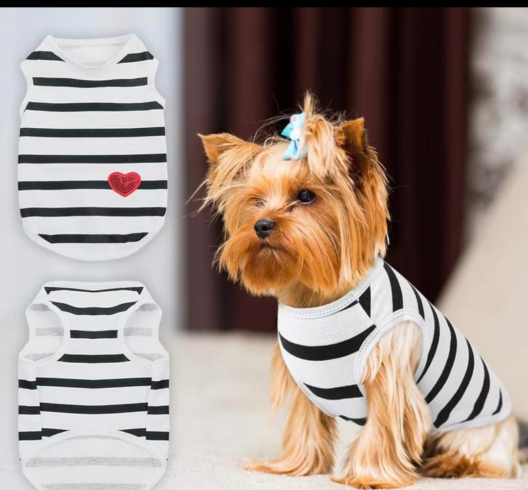 Small Dog Coats