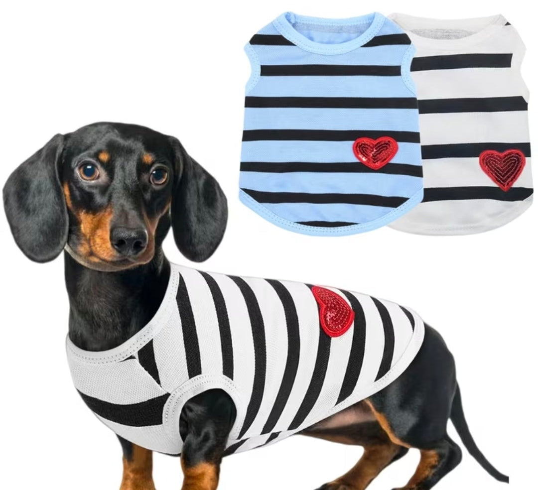 Small Dog Coats