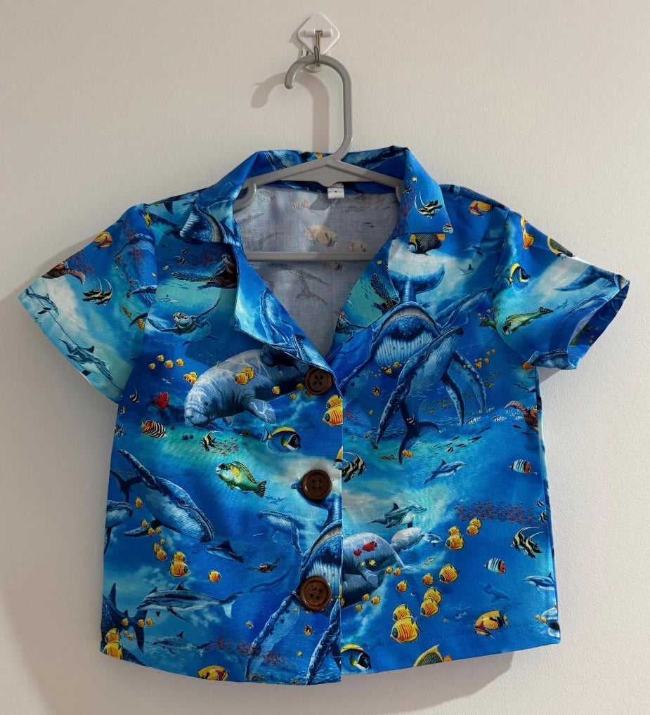 Boys Shirts - Size 3