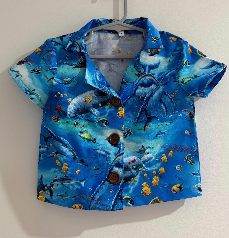 Boys Shirts - Size 2