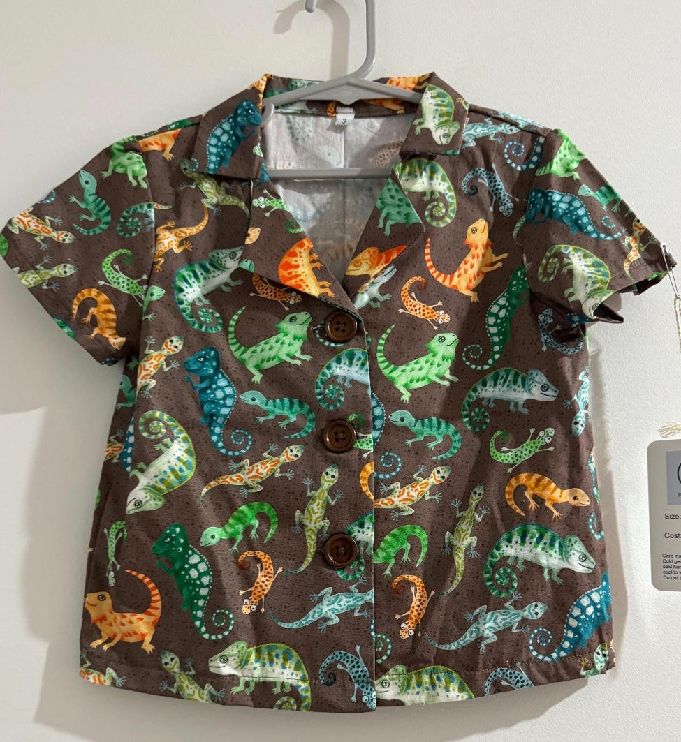 Boys Shirts - Size 2
